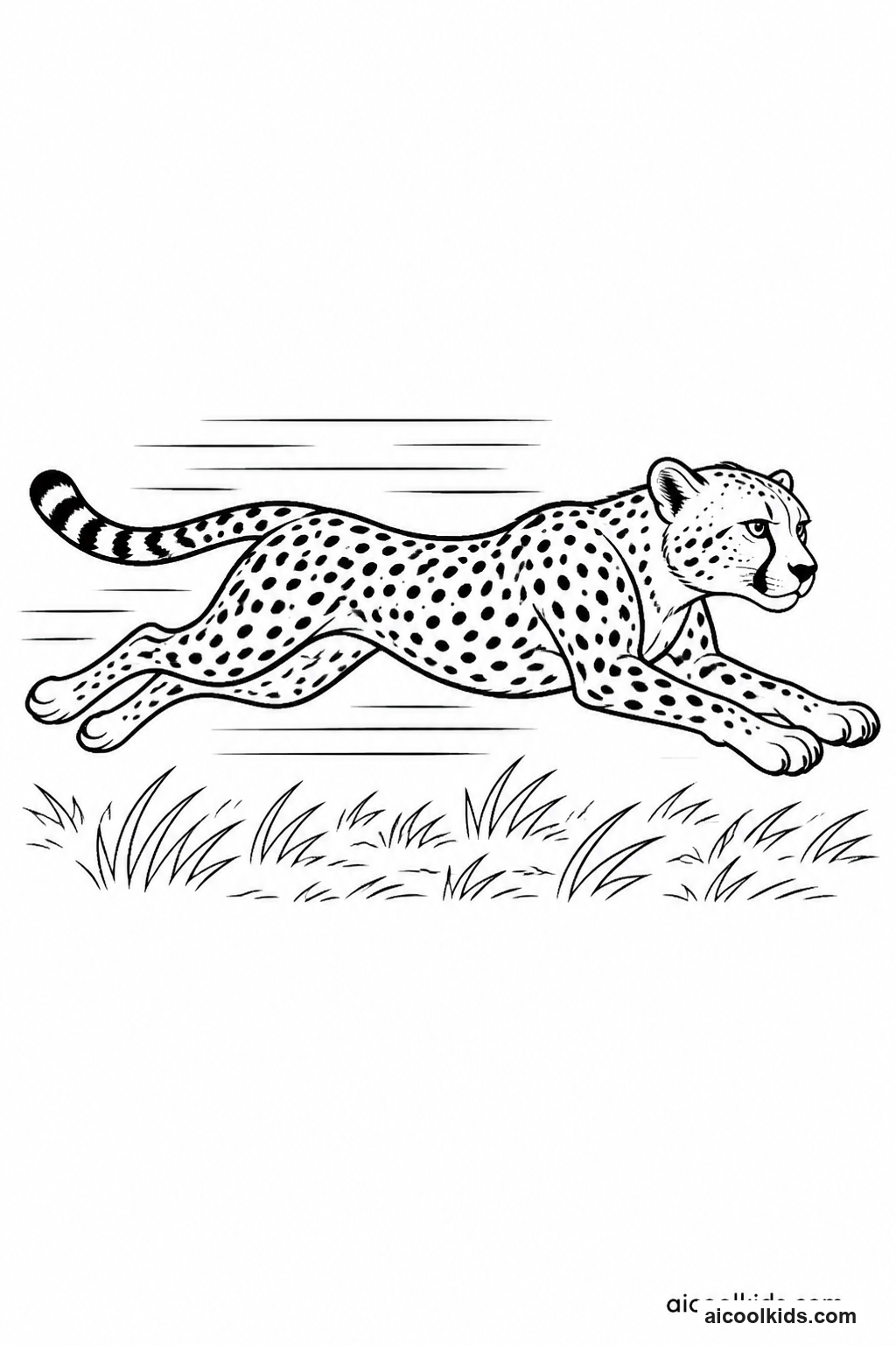 Fast Cheetah Sprinting Across Open Grassland free printable activity sheet